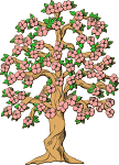 flowering tree color